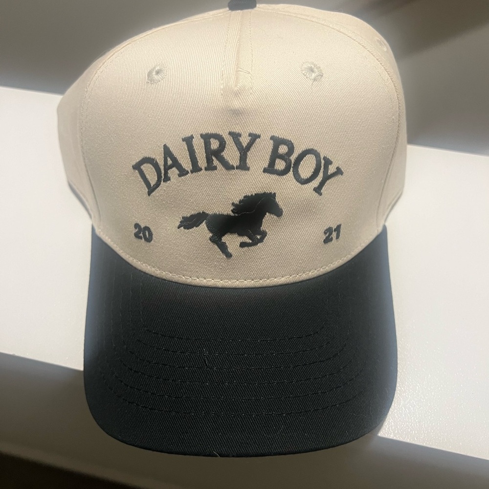 NWOT dairy boy hat